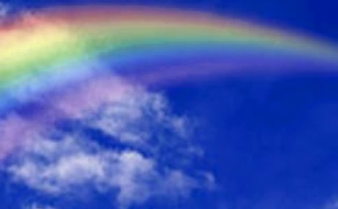 [�]]�P(gu��n)�ڲʺ������