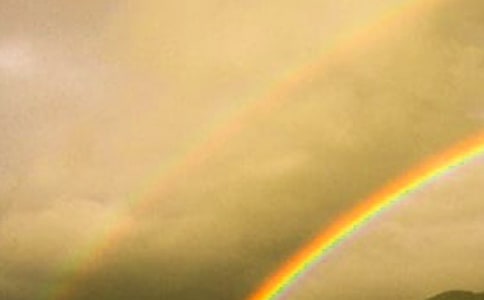 �ʺ��µļs������