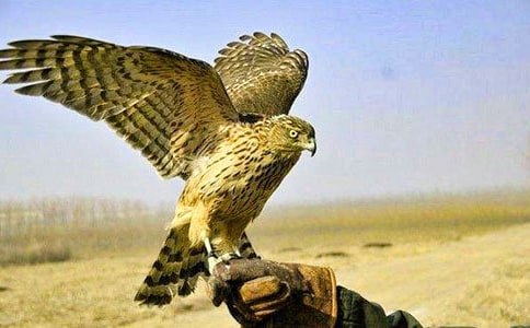 �n������550��