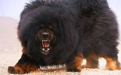 [���T]���������7ƪ