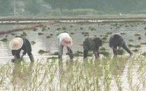 ���������Č�(sh��)��[9ƪ]