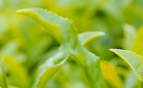 (�؂�)���~������