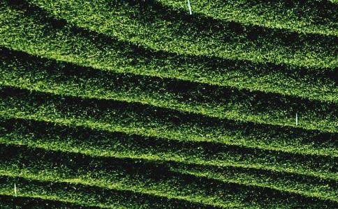 ���Ҹ׷Ų��~����ʲô��̎