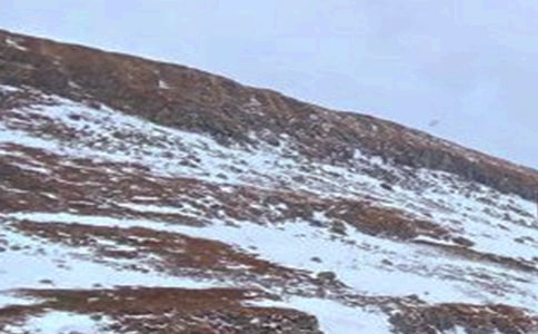 �L��ɽ�����ı؂�[15ƪ]