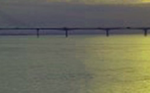 �P(gu��n)���茑�L����Ԋ��