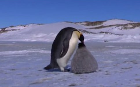 ��Խ�����Đ����ģ�ͨ��34ƪ��