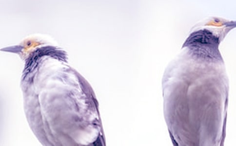 ���ܵ����ĺϼ���15ƪ��