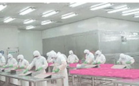 ܇�g���΂��������13ƪ