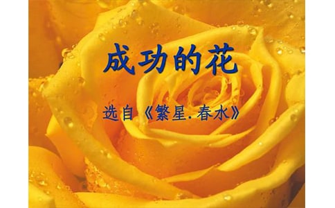 �P(gu��n)�ڡ��ɹ��Ļ����x���