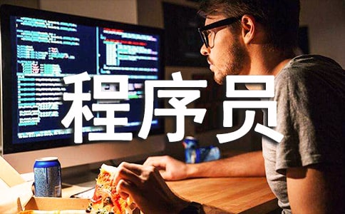 程序員試用期轉(zhuǎn)正工作總結(jié)