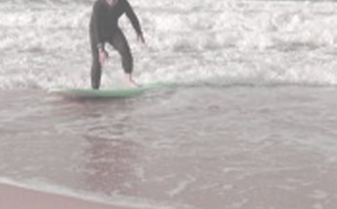 關(guān)于沖浪的作文(經(jīng)典8篇)