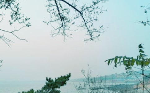 �wѩ�����L