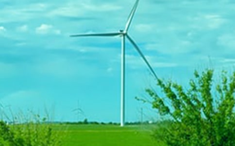 春風(fēng)的詩(shī)句145句