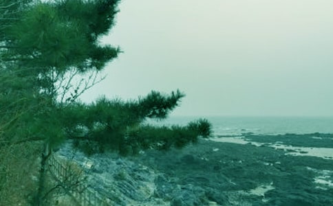 描寫春風(fēng)的詩句