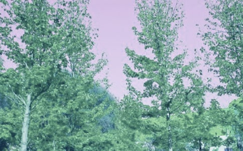 ���L(f��ng)�������x����