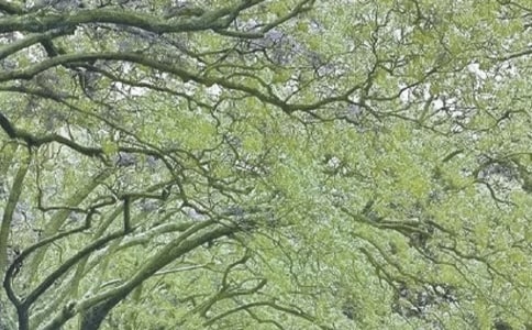 ���L(f��ng)��Ԋ(sh��)��(���x15ƪ)