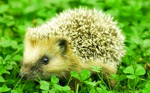 ����^��У����x15ƪ��