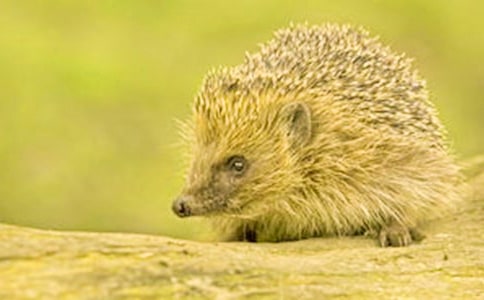 С�����g(sh��)���С��⬱����ӽ̰�