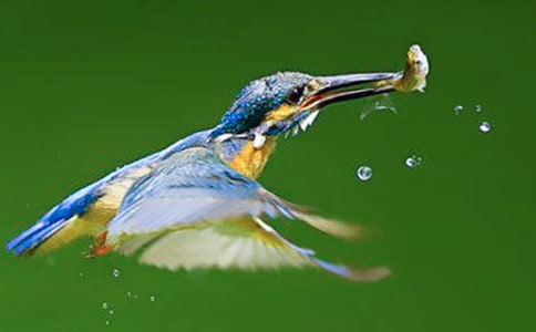 �����B���Ľ̌W�c�u