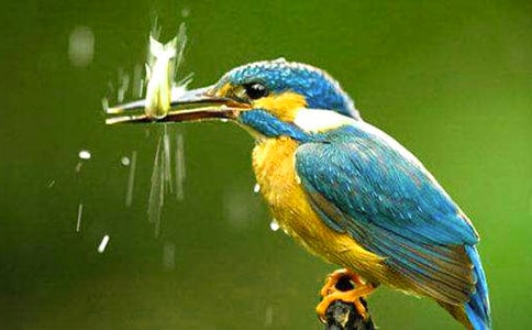 ��(sh��)�õĴ��B����300��