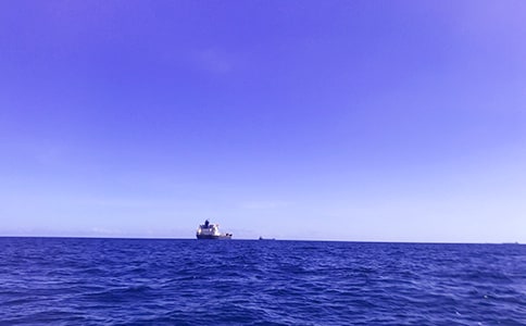 ���P(gu��n)�茑�󺣵�����ʮ�l