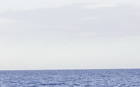 (精)大海即景作文15篇