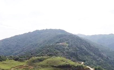 ��ǰ��һ����ɽ�����¶��꼉��