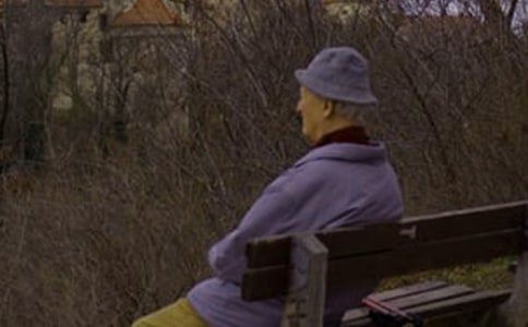 ���˴�������