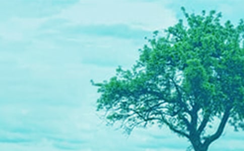 �����������������