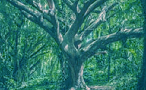 ����(y��u)�㣩�����������