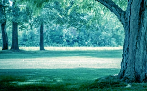 ����һ�ô������