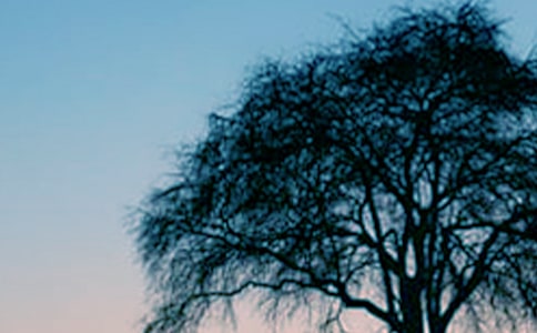 ���(sh��)����������(��Ʒ)