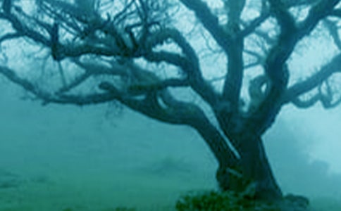 (��)������������