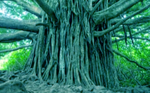 ����������ġ���(y��u)��