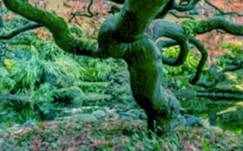 �������(sh��)����14ƪ(��Ʒ)