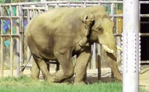 �������������