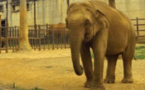 С�ô����^(gu��)�ӿ��D��Ԓ