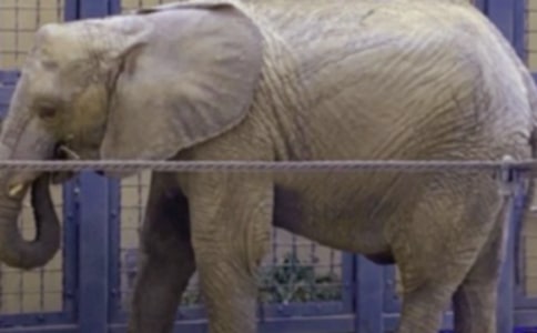 �����ƌW(xu��)���꼉�σԽ̌W(xu��)Ӌ�������x21ƪ��