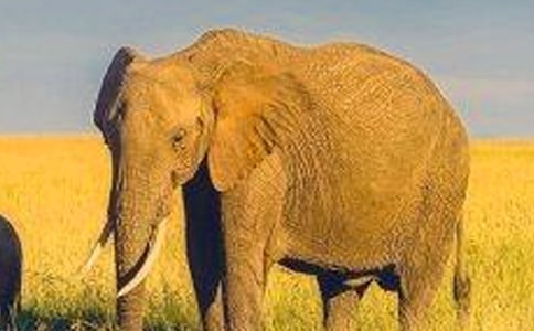 ��Ȥ�Ĵ��󿴈D��Ԓ��ͨ��16ƪ��