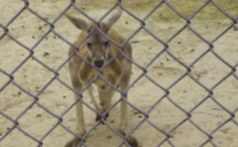 �����M�ǹ���