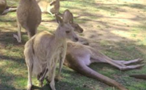 ����ı��M(j��n)�ǵĹ���