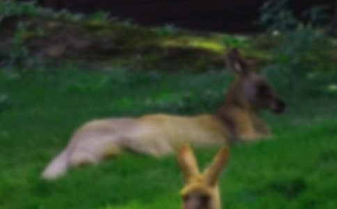 ���������15ƪ(��(j��ng)��)