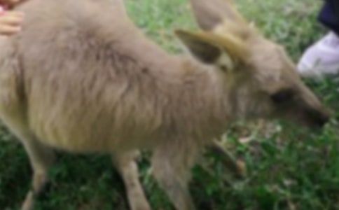 ������������Ĵ�ȫ7ƪ