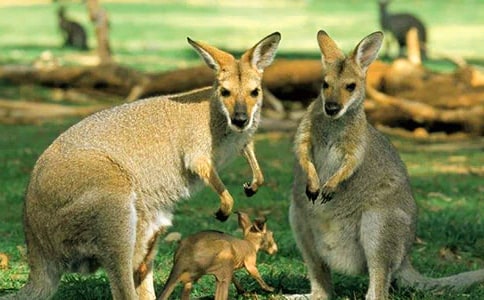 ������������9ƪ���]��