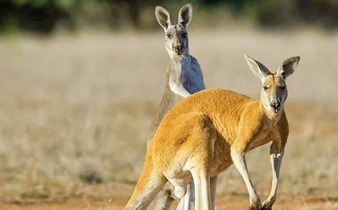 ������������ģ�ͨ��24ƪ��