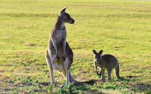 ������������ģ�ͨ��8ƪ��