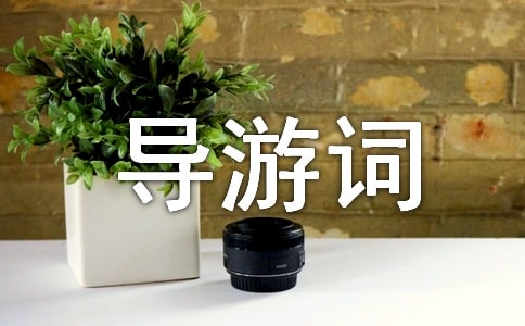 �ؑc��ӵؿp��(d��o)���~