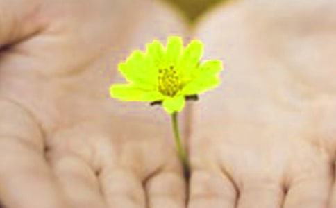 ���oŮ���ѵĵ�Ǹ����