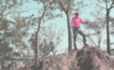 ��ɽӛ����(��Ʒ15ƪ)