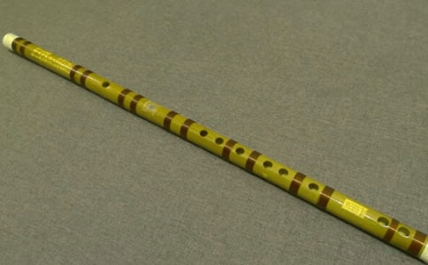 我學(xué)會了吹笛子作文